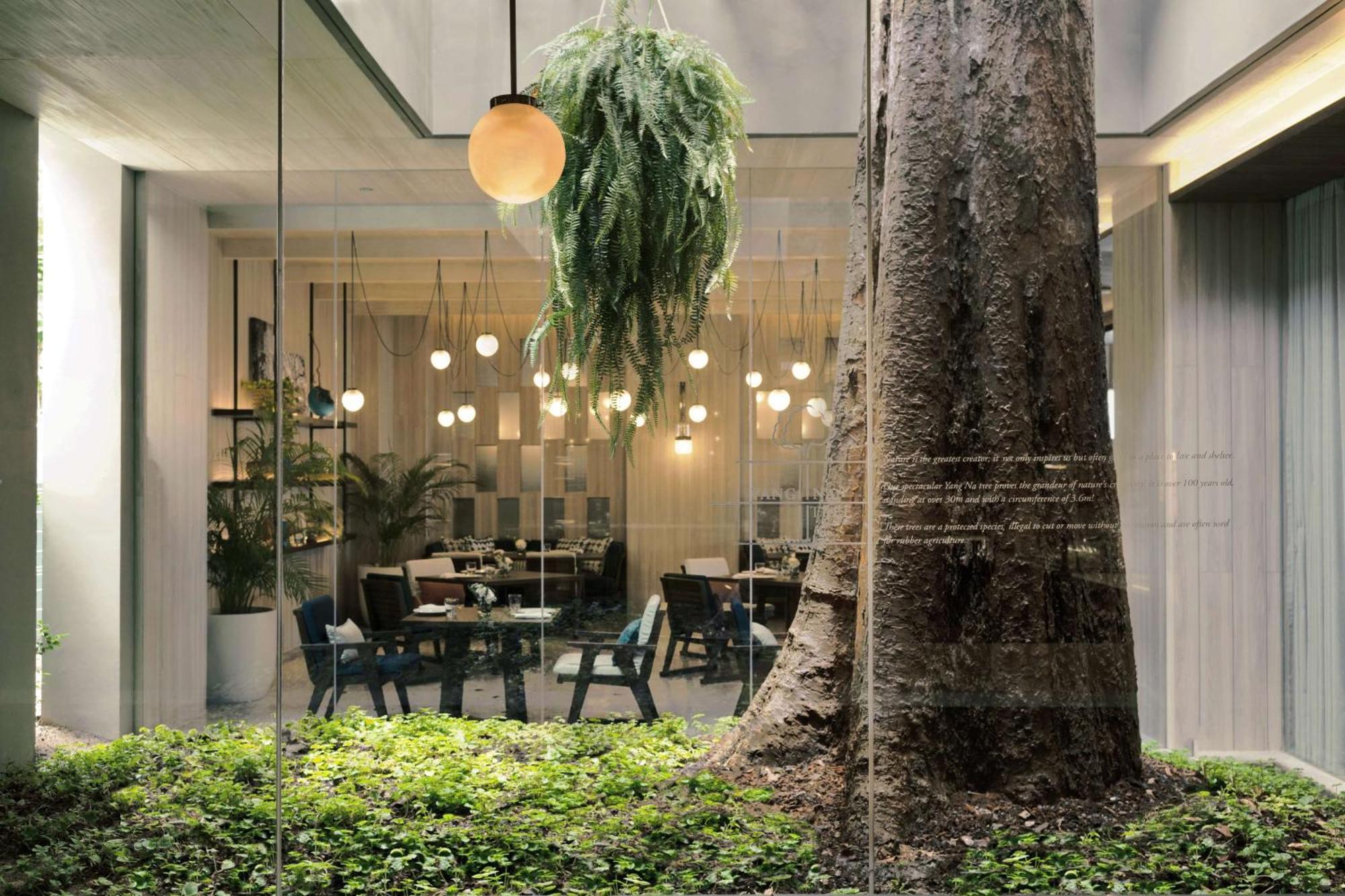 Hotel Hyatt Regency Koh Samui Chaweng  Esterno foto The Treehouse