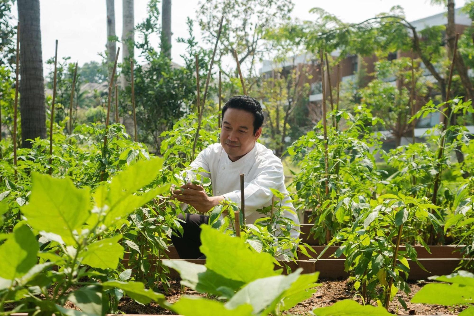 Hotel Hyatt Regency Koh Samui Chaweng  Esterno foto Chef Hung at the farm